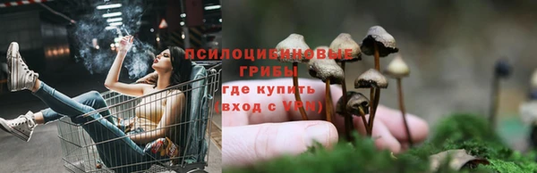 a pvp Кинешма