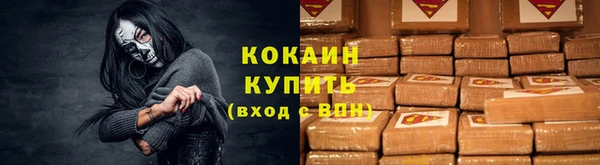 spice Карпинск