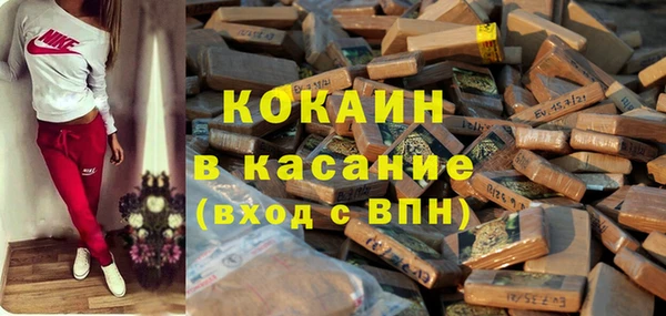 сатива Карталы