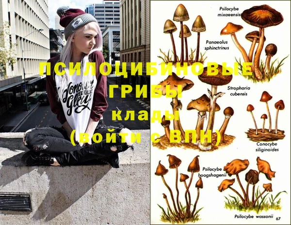 синтетический гашиш Касимов