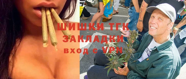 твердый Мурманск