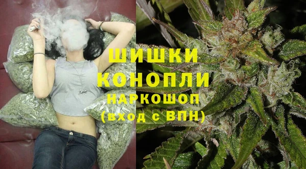 spice Карпинск
